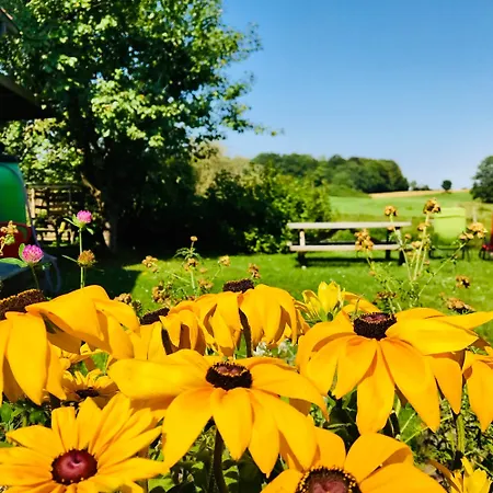 Tante Kamps Hus - Uriges Haeuschen Mit Garten Und Geschichte *